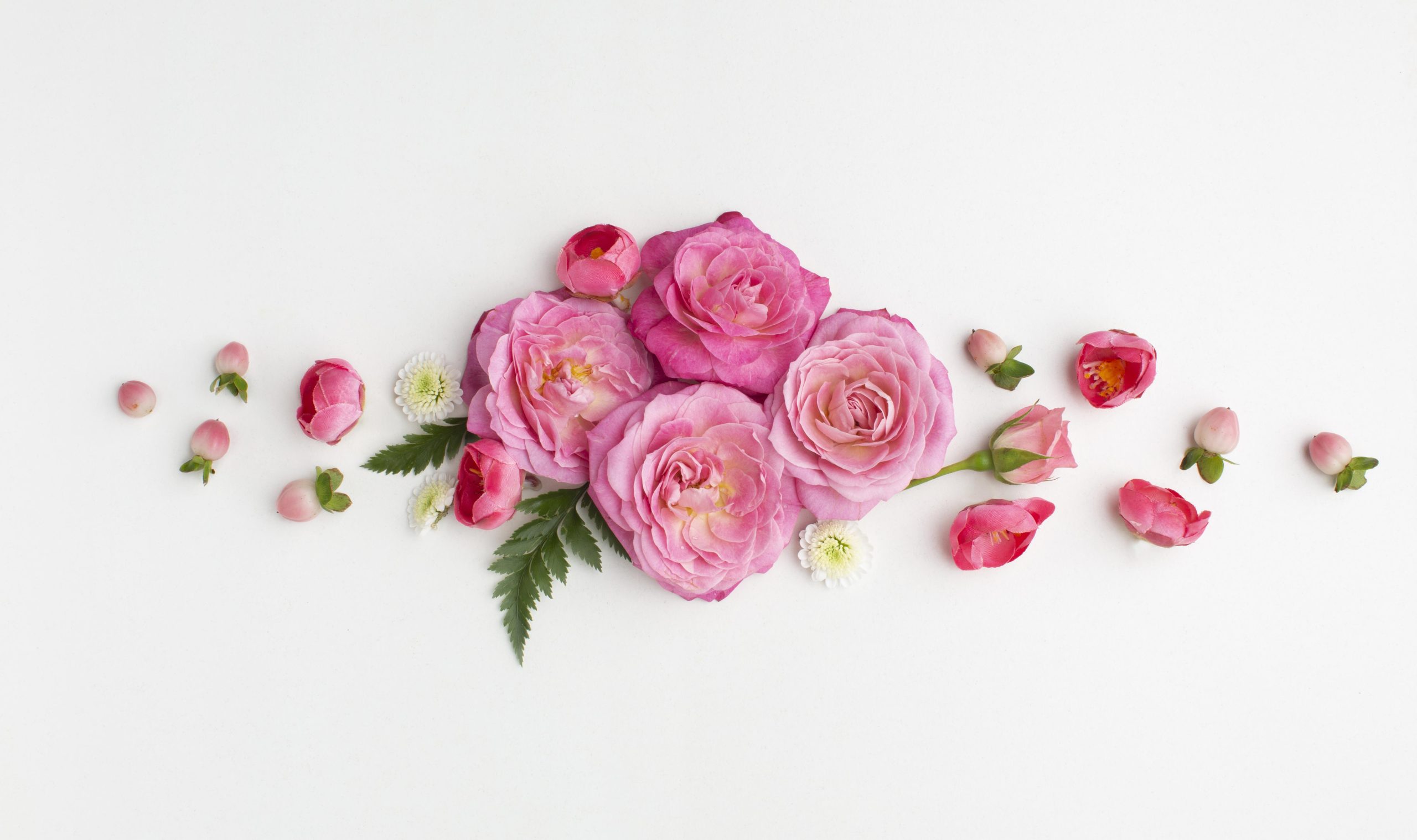 Rose Bud